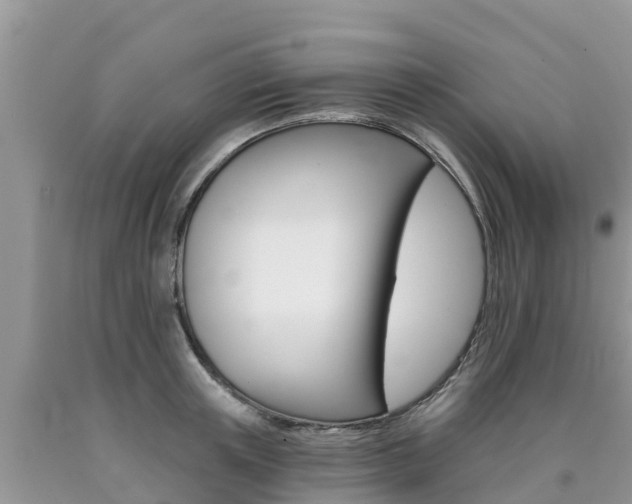 X0000090720851200707201012