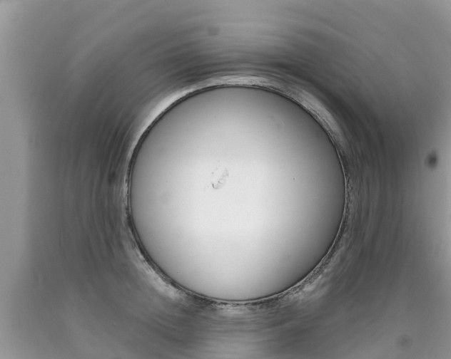 X0000090720852200707201012