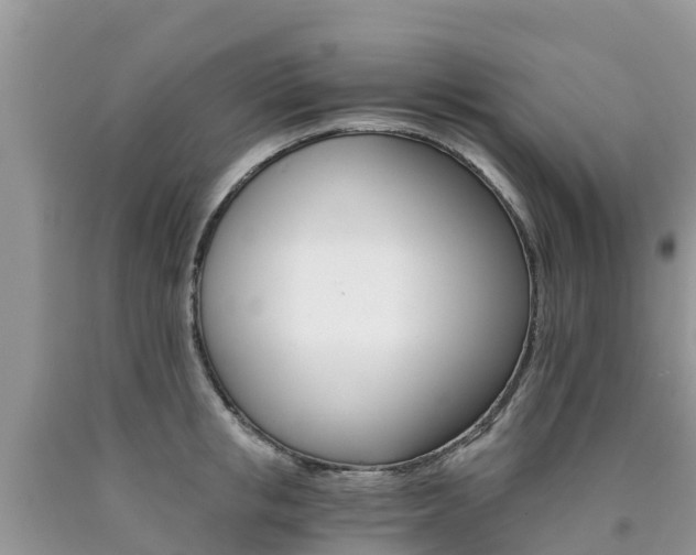 X0000090720853200707201012