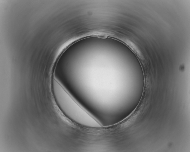 X0000090720854200707201012