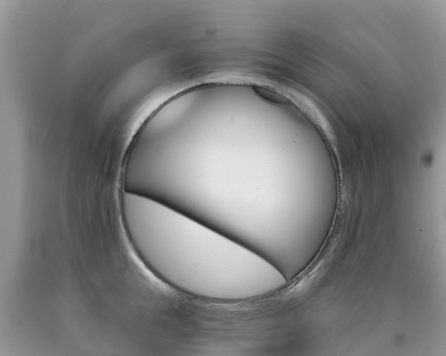 X0000090720855200707201012