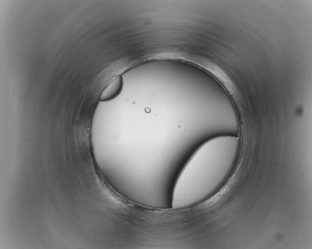 X0000090720857200707201012