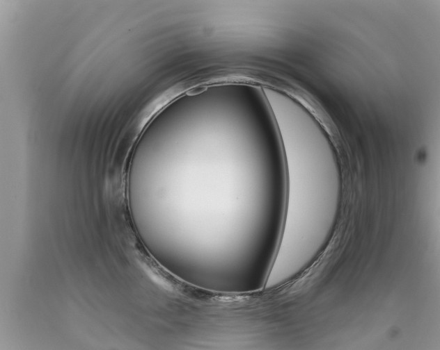 X0000090720858200707201012