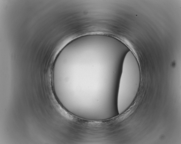 X0000090720859200707201012