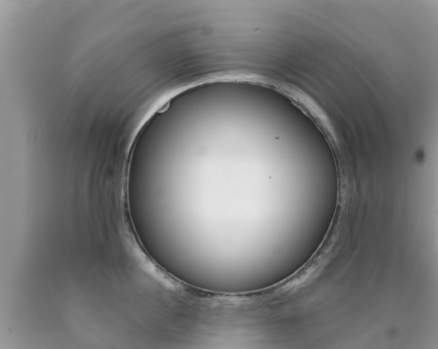 X0000090720860200707201012
