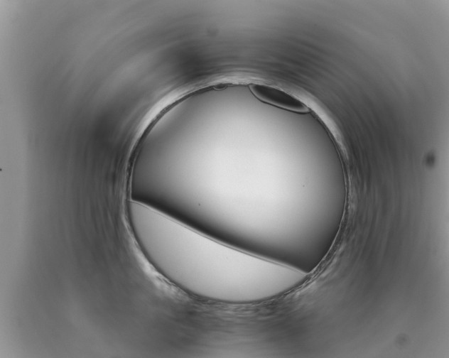 X0000090720861200707201012