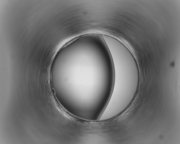 X0000090720862200707201012