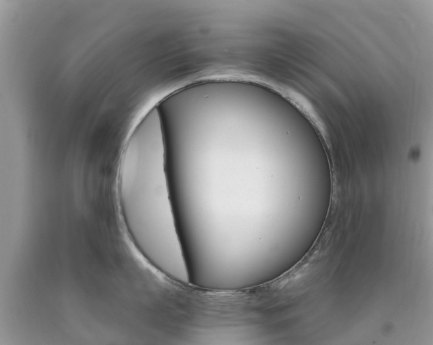 X0000090720863200707201012