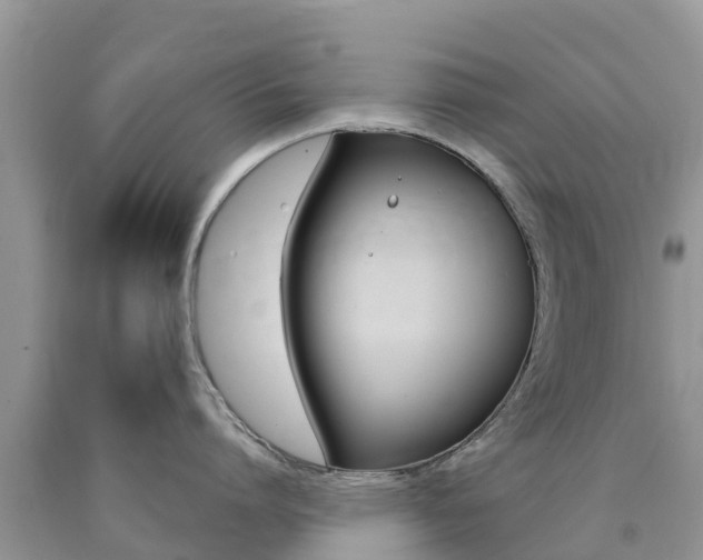 X0000090720864200707201012