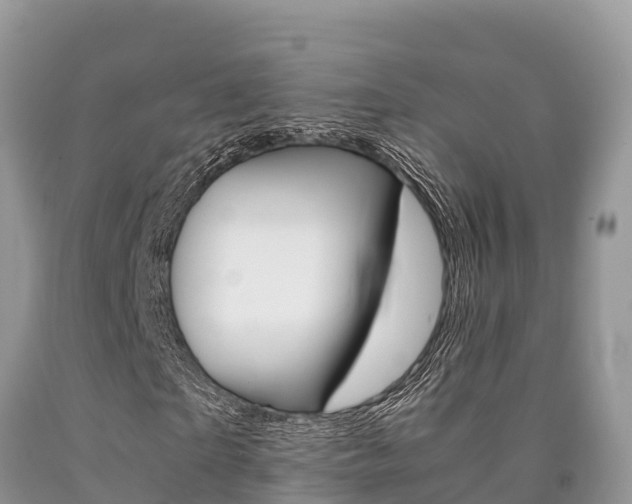 X0000090720865200707201011