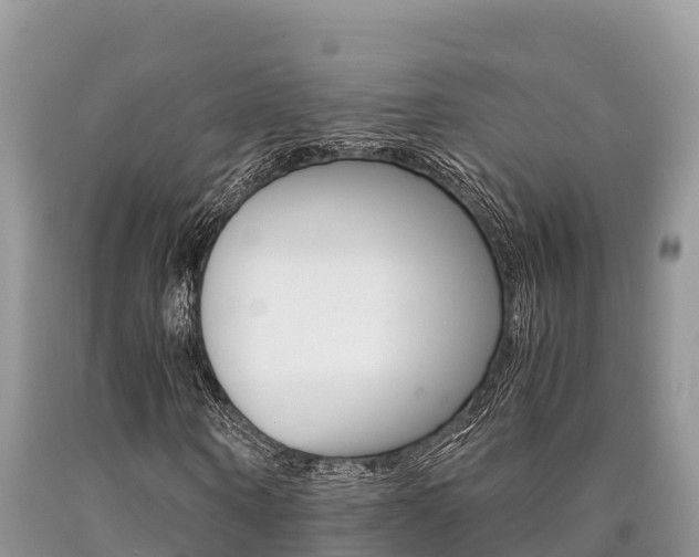 X0000090720866200707201011