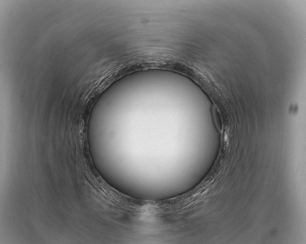 X0000090720867200707201011