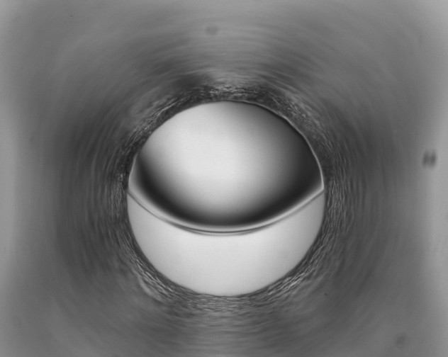 X0000090720868200707201011