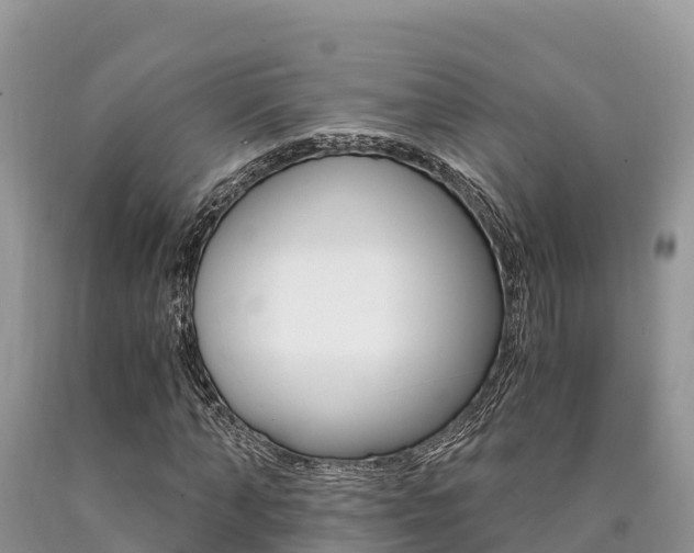 X0000090720870200707201011