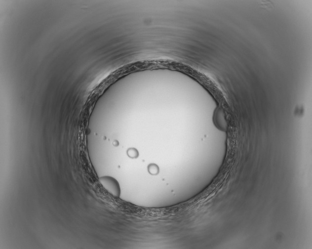 X0000090720871200707201011