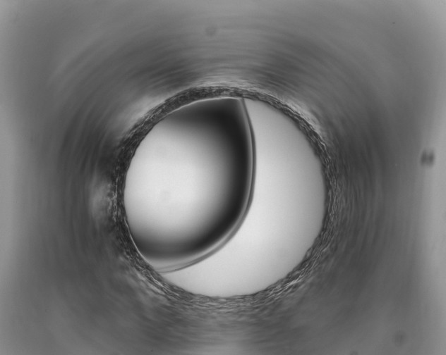 X0000090720872200707201011