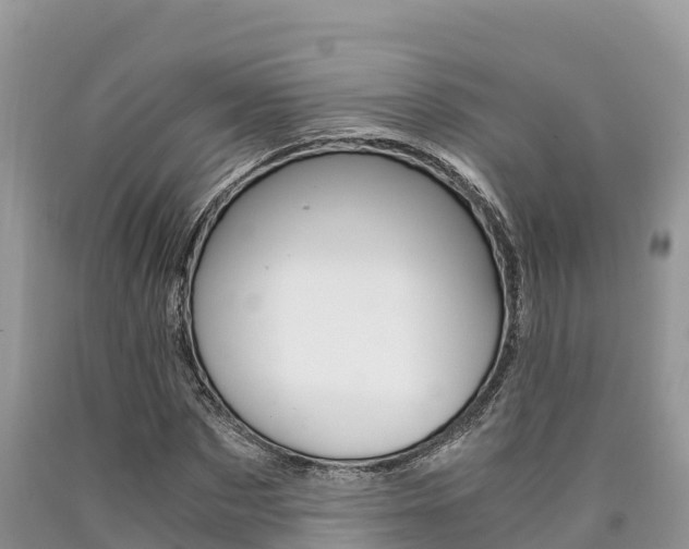 X0000090720873200707201011