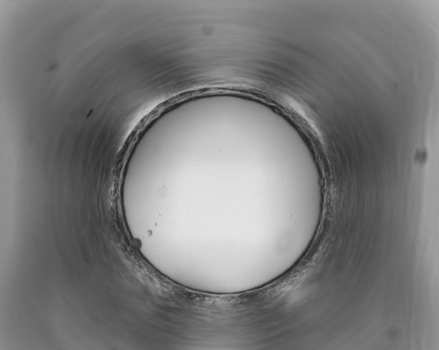X0000090720875200707201011