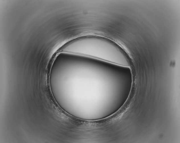 X0000090720877200707201011