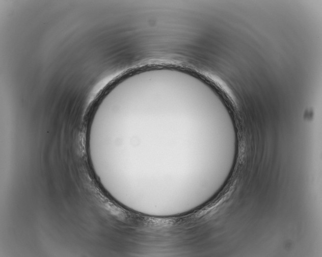 X0000090720878200707201011