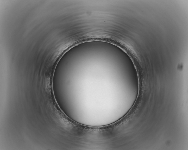 X0000090720881200707201011