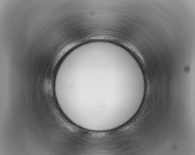 X0000090720882200707201011