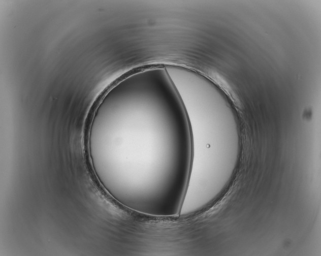 X0000090720884200707201011