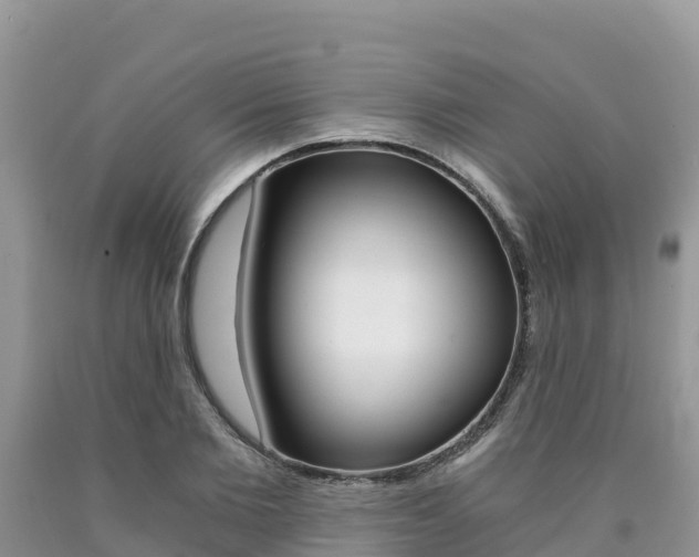 X0000090720885200707201011