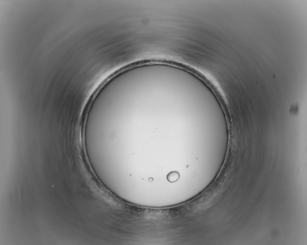 X0000090720887200707201011