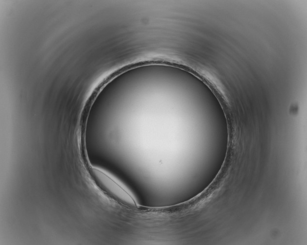 X0000090720888200707201011