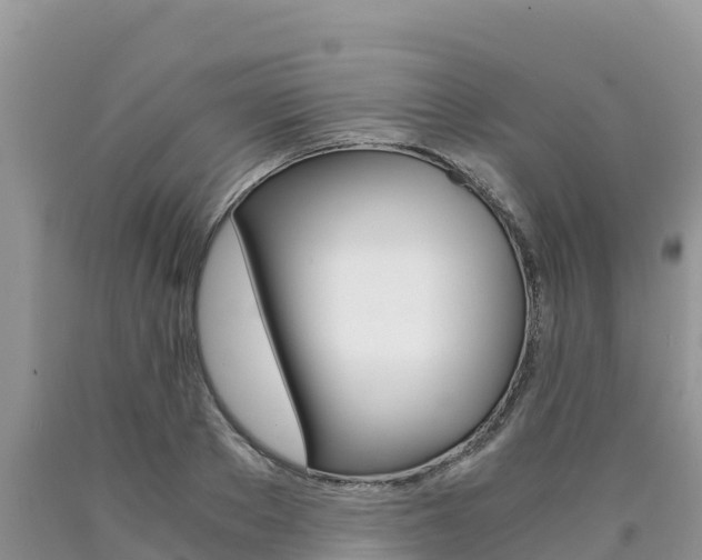 X0000090720889200707201011