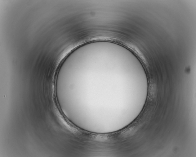 X0000090720890200707201011
