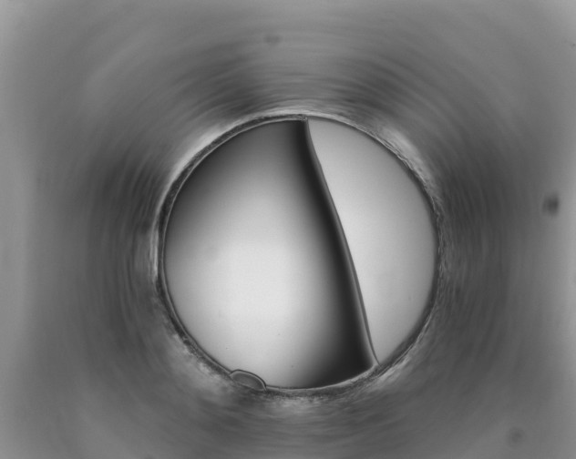 X0000090720892200707201011