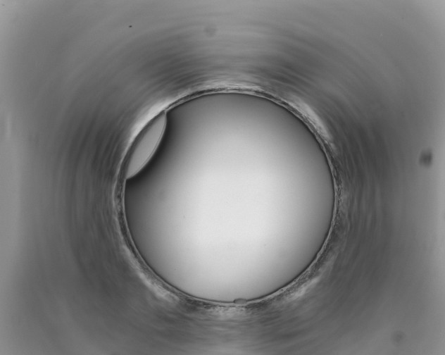 X0000090720893200707201011
