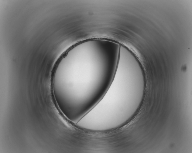 X0000090720894200707201011