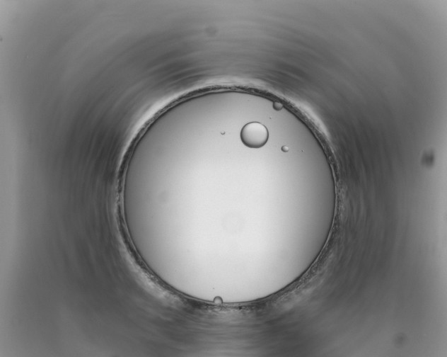 X0000090720895200707201011
