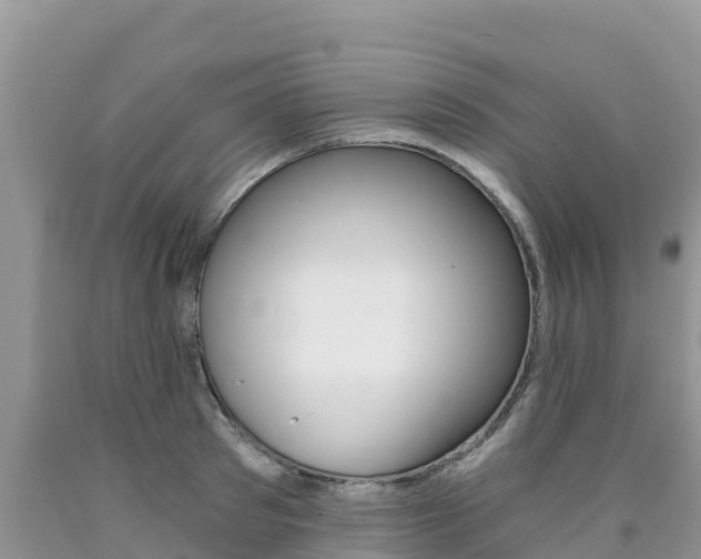X0000090720897200707201011