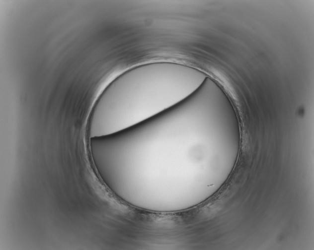 X0000090720899200707201011