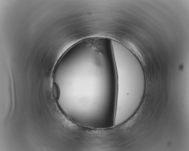 X0000090720900200707201011