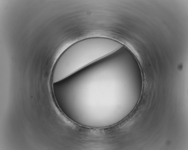 X0000090720901200707201011