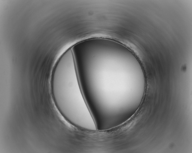 X0000090720902200707201011