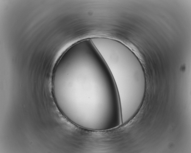 X0000090720904200707201011