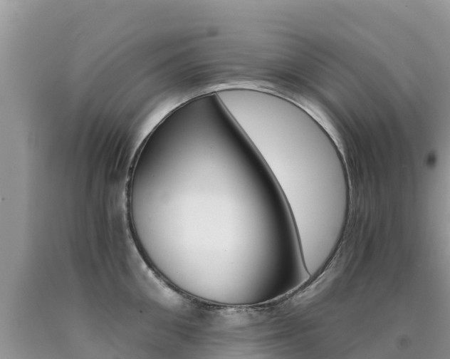 X0000090720906200707201011