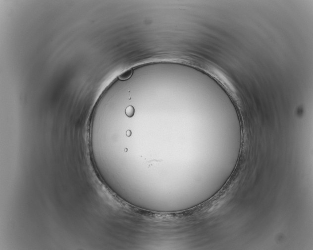 X0000090720907200707201011