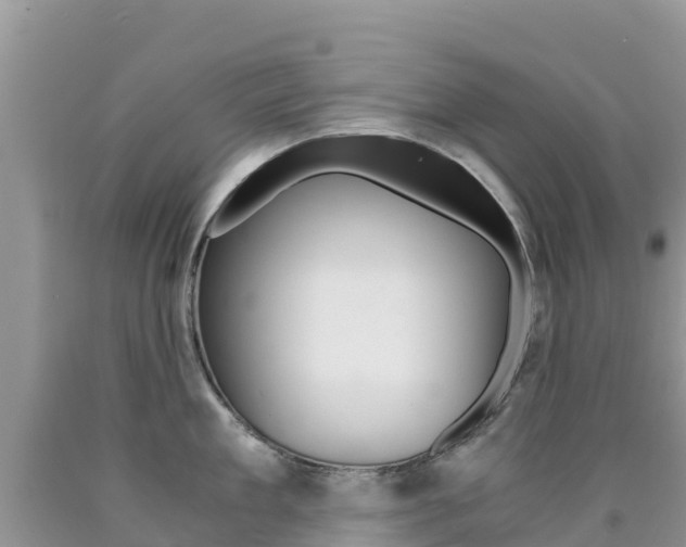 X0000090720909200707201011