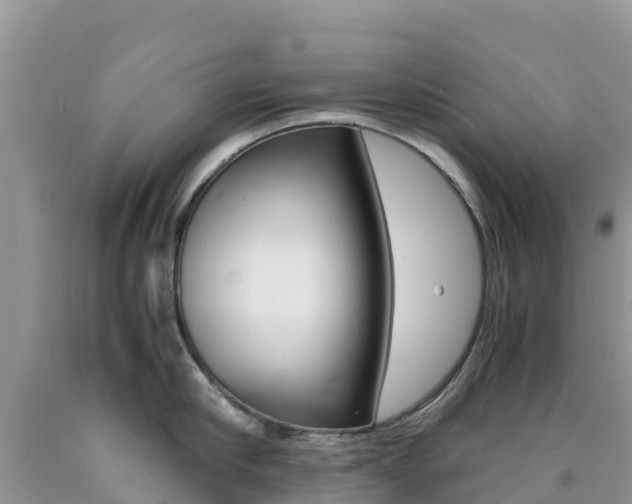 X0000090720910200707201011