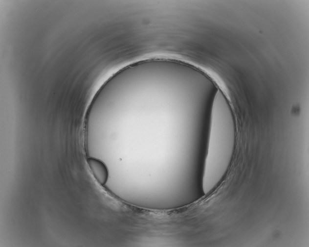 X0000090720911200707201011