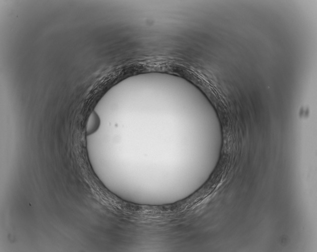 X0000090720913200707201010