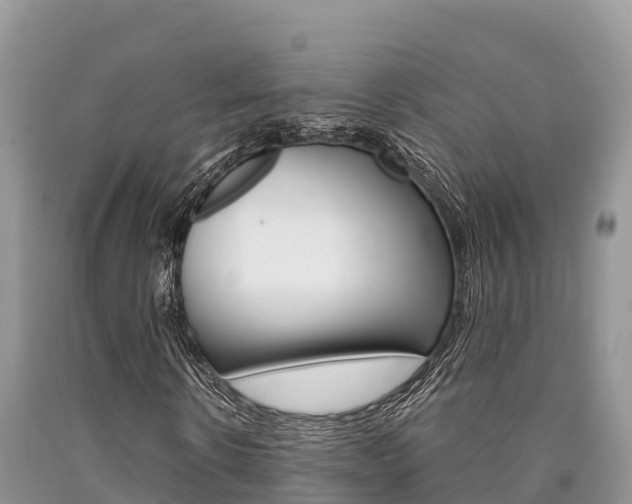 X0000090720914200707201010