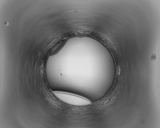 X0000090720915200707201010